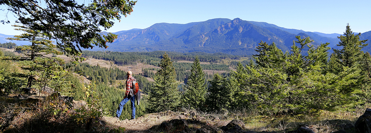 Greenleaf Overlook